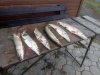 IMG-20181027-WA0052.jpg