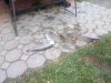 IMG-20181027-WA0050.jpg