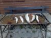 IMG-20181027-WA0034.jpg