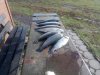IMG-20181028-WA0016.jpg