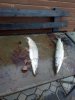 IMG-20181028-WA0017.jpg