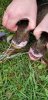 IMG-20181029-WA0012.jpg