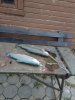 IMG-20181029-WA0016.jpg