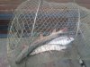 IMG-20181029-WA0012.jpg