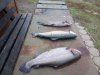 IMG-20181029-WA0007.jpg