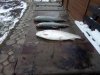 IMG-20181031-WA0028.jpg