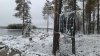 P_20181025_084639_1.jpg