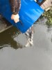 IMG_7155-03-11-18-09-10.jpg