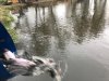 IMG_7157-03-11-18-09-10.jpg