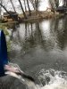 IMG_7158-03-11-18-09-10.jpg