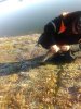IMG-20181105-WA0005.jpg