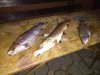 IMG-20181105-WA0038.jpg