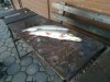 IMG-20181105-WA0029.jpg