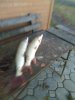 IMG-20181105-WA0027.jpg