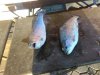 IMG-20181105-WA0022.jpg
