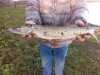 IMG-20181105-WA0017.jpg