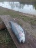IMG-20181109-WA0012.jpg