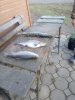 IMG-20181111-WA0009.jpg