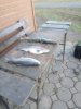 IMG-20181111-WA0007.jpg