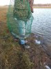 IMG-20181111-WA0002.jpg