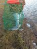 IMG-20181111-WA0003.jpg