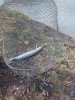 IMG-20181111-WA0001.jpg