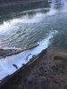 IMG-20181113-WA0001.jpg