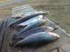 IMG-20181115-WA0007.jpg