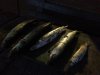 IMG-20181116-WA0005.jpg