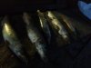 IMG-20181116-WA0002.jpg