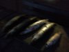 IMG-20181116-WA0003.jpg