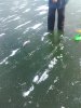 IMG-20181121-WA0017.jpg