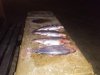 IMG-20181121-WA0011.jpg