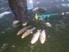 IMG-20181121-WA0005.jpg