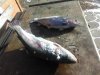 IMG-20181123-WA0010.jpg