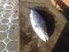 IMG-20181123-WA0008.jpg