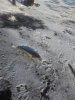 IMG-20181123-WA0005.jpg