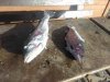 IMG-20181123-WA0000.jpg