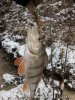 IMG_20181126_135354.jpg