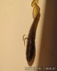 IMG_20181127_113828.jpg