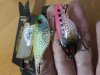 20181130_165525.jpg