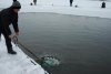 DSC_3985.jpg
