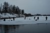 DSC_3981.jpg