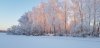 IMG-20181216-WA0008.jpg
