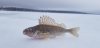 IMG-20181215-WA0008.jpg