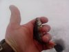 IMG_20130103_110826.jpg