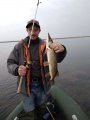 IMG_20171022_074247-1200x1600.jpg