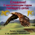 IMG-20181231-WA0021.jpg
