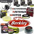 D_c4T0XOIbENQGGlDYs0ML1-4M_Berkley-Spiderwire-nov.jpg