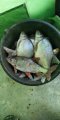 IMG-20190121-WA0007.jpeg